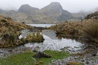 Hochmoorig  Auch dieser Park gehört zu den Orten, an denen wir uns erheblich mehr Zeit wünschten, ihn zu durchwandern und nicht nur eine kurze Stippvisite einzulegen. Doch wir haben heute eine Tagesetappe von mehr als 200 km zurückzulegen, was unseren Besuch auf knapp 3 Std. limitiert. Der Ticketerwerb ist schnell erledigt. Wir löhnen 2 x 3$, tragen wie gehabt unsere Personalien ein und holen erst einmal unsere Regenkleidung aus den Koffern. : cuenca, el cajas, guayaquil