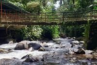 Río Mindo  Entweder man nimmt den nur 2 km langen Pfad hinunter zum "Cascada Nambillo", welcher in nur schlappen 15 Min. zu schaffen ist (die Weicheiertour!), oder man entscheidet sich für den 50minütigen Weg (1 Strecke!)  zum "Cascada Reina". Die ganz Harten erreichen nach 30 Min. den Talfuß einer Kette von 5 Fällen, die man  – einen nach dem anderen – erklettern kann. Zurück muß man auch wieder! Das soll auch die schönste Tour sein. Wir entscheiden uns heute für die Weicheiertour, denn schließlich sollen für spätere Ecuadorreisen ja auch noch Attraktionen und Fotomotive nachbleiben! : mindo, pichincha, cascada nambillo, cascada reina