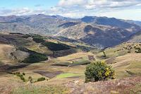 Sangay Nationalpark  Wir fallen todmüde ins Bett und hoffen, für den Rest des Urlaubs von weiteren Mißhelligkeiten verschont zu bleiben. Eine dreifache Kontrolle auf 'Schlüssel am Mann' ist von jetzt ab obligatorisch :-\  Auf uns wartet in Alausí mit der Eisenbahnfahrt zur Teufelsnase ein weiterer Höhepunkt unserer Reise. Leider wird dieses touristische Event nur an sechs Tagen in der Woche veranstaltet: Von Dienstags bis Sonntags! Heute ist Montag. Macht nix! Ein bißchen Luftholen haben wir uns verdient und wir beschließen, den mißlungenen Chimborazo-Besuch abzuhaken und am heutigen Tag einen Abstecher in den nahegelegenen Sangay Nationalpark zu machen. : alausi, parque nacional sangay, nationalpark sangay
