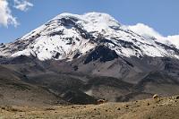 Unser Schicksalsberg  Wenn der Wurm erst mal drin ist, dann aber auch richtig... Doch der Reihe nach: Unser Abendziel ist die Kleinstadt Alausí, zuvor möchten wir aber unbedingt dem höchsten Vulkan Ecuadors, dem 6267 m hohen Chimborazo einen Besuch abstatten. Nach einer zügigen Fahrt über Ambato und Riobamba sind wir wieder im Andenhochland und erreichen den Berg endlich einmal bei strahlendem Sonnenschein am späten Vormittag. Schon auf dem Weg zur 4800 m hoch gelegenen Rangerstation machen wir diverse Fotostopps und begegnen hier das erste und einzige Mal auf unserer Reise einigen Vikunjas. Der Zugang zum Chimborazo erfolgt über ein Gebäude mit zwei Torbögen. Nachdem man sein Fahrzeug auf einem Parkplatz abgestellt hat, ist die obligatorische Registrierung in diesem Gebäude angesagt. Da hier oben aber ein eiskalter Sturmwind übers Plateau weht, kümmern wir uns zuallererst um mollige Kleidung, die hinten in den Koffern im Laderaum liegt. Bald stecken wir in unseren warmen Fleecejacken und Maren hat auch schon unsere Pässe verstaut. Während wir neben der seitlich öffnenden Heckklappe noch reden und uns umschauen, fegt ein plötzlicher Windstoß die Heckklappe zu! Ein Griff zur Hosentasche mit dem Autoschlüssel läßt mich erblassen – kein Schlüssel da! Der liegt warm und trocken neben den Koffern auf der verschlossenen Ladefläche... Wir schauen uns panisch an, rennen ums Auto, probieren jede Tür... verschlossen! Wir hassen diese neumodischen Vehikel! 30 Sekunden ohne Schlüssel – und der Wagen schließt zu. Auch, wenn noch Türen offen sind. Wenn die dann zufallen, ist Schluß!   Vicuña  (Vicugna vicugna)  Vicuña od. Vikunja : chimborazo, vicuña, vicugna vicugna, vikunja