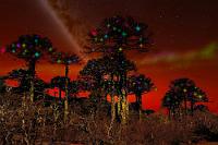 Der Weihnachtsstern  Von den drei im Frühjahr 2140 gestarteten Sternenschiffen war die "Neil Armstrong" bisher am weitesten in den Raum vorgedrungen. Im Gegensatz zu ihren beiden Schwesterschiffen lag die Priorität ihrer Mission nicht in der Suche erdverwandter Planeten, sondern in der Erforschung der kosmischen Nachbarschaft der Erde. Nach mehreren Transitionen und einer Reise von gut 20000 Lj befand sie sich im Dezember 2145 etwas außerhalb des heimatlichen Orion-Armes im Bereich des galaktischen Halos – mit einem atemberaubenden Blick auf die dunkelnebelverhangene Kante der Milchstraße. Selbst hier draußen gab es noch Sterne und die "Armstrong" war nach dem letzten Sprung in unmittelbarer Umgebung eines intensiv rubinrot leuchtenden Zwergsternes herausgekommen, der vom Kommandanten der "Armstrong", Jewgeni Pawlowitsch Koroljow, spontan auf den Namen 'Santa's Star' getauft wurde.  Je länger und je weiter die Mannschaften der drei Schiffe von der Erde getrennt waren, desto mehr wuchs unter den harten Abenteuerern und nüchternen Naturwissenschaftlern das Bedürfnis nach heimatlicher Wärme und Verbundenheit. Und so war es nicht verwunderlich, dass die alten irdischen Feste und Bräuche von Jahr zu Jahr mit steigender Inbrunst gewürdigt wurden. Entsprechend dem ständig mit der Erdzeit synchronisierten Bordkalender waren die Kombüsen und Mensen des Schiffes bereits weihnachtlich geschmückt, als die Nachricht der Entdeckung des einzigen Planeten von 'Santa's Star' die Runde durchs Schiff machte.  Nicht nur, dass die eilig zusammengestellte Landungscrew bei ihrem Abstieg auf den Sauerstoffplaneten am 23.12.2145 von einer festlich rot illuminierten Atmosphäre empfangen wurde, man wurde auch von einer zwar primitiven, aber reichhaltigen Flora und Fauna überrascht, die zumindest stellenweise coevolutionäre Tendenzen zur Erdbiologie erkennen ließ. Und als nach Eintritt der Dämmerung auf dem 'Araukania' getauften Planeten die Hinterleiber einer ca. 10 cm großen 'Käfer'art in strahlender Biolumineszenz aufleuchteten und den nadelholzähnlichen Bäumen bunte Kerzen aufsetzten, waren selbst die andächtig staunenden Raumfahrer bereit, an ein Weihnachtswunder zu glauben.  Ebenso auf der guten, alten Erde, wo niemand erwartet hatte, per Hyperfunk einen solchen Weihnachtsgruß vom Rande der Galaxis zu erhalten, mit dem die Crew der "Armstrong" allen Daheimgebliebenen, Freunden und Verwandten wieder ins Bewußtsein rief, sich auf einer Mission zu befinden, die "...einen kleinen Sprung für ein Raumschiff, aber einen Riesenschritt für die Menschheit" darstellte!