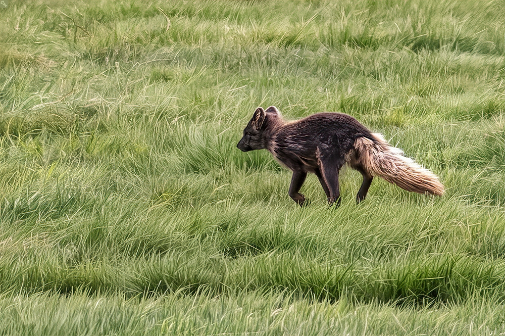 Ein Ausfall und ein Glücksfall