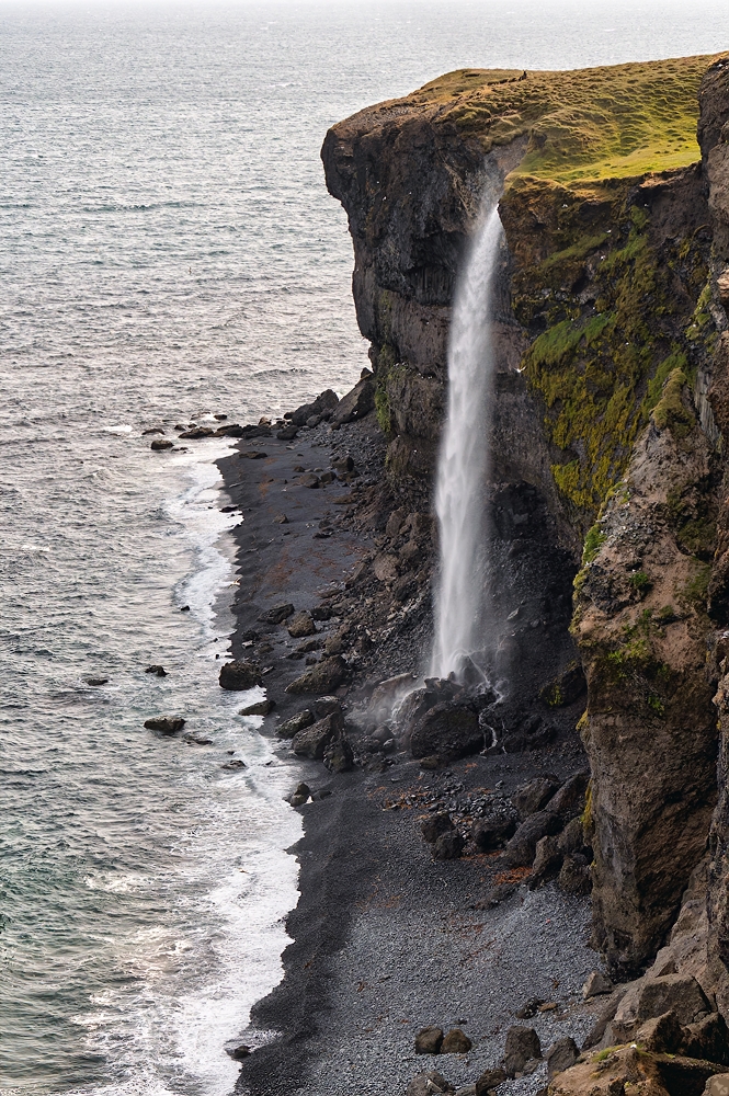 Keine Seehundsdusche