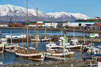 Die Walguckflotte  Das Guesthouse ist ein ehemaliger Bauernhof – jetzt ein Reiterhof – und die Rezeption ist verwaist. "Falls niemand da ist, rufen Sie uns an...", fordert uns ein Schildchen im Office-Fenster auf. "Grrr", Maren als die besser englisch sprechende (kein isländisch! Dafür aber noch besser spanisch :-) ist von diesen Telefongesprächen im Ausland nicht begeistert. Es klappt dann aber doch erstaunlich gut, die junge Frau kommt sofort, drückt uns den Zimmerschlüssel für "Branda" in die Hand, erklärt, dass es Frühstück von 8:00 bis 9:30 Uhr gäbe, wir die Küche gern fürs Abendessen nutzen könnten und läßt uns dann mit einem neuen Türschlossrätsel allein. Wir kennen aufgrund unserer Reisen inzwischen eine ganze Menge verschiedener Türschlosskonstruktionen. Auf Island lernen wir noch ein paar neue Varianten kennen. "Branda" weigert sich, uns mit den bekannten Techniken herein zu lassen. Irgendwann gelingt es uns aber mit 'Schlüssel ins Schloß, Hebel bis zum Anschlag senkrecht nach oben drücken und gleichzeitig den Schlüssel gegen den Uhrzeigersinn drehen', ins Innere vorzudringen.