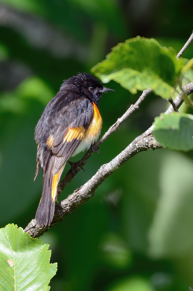 Auf dem Naturlehrpfad