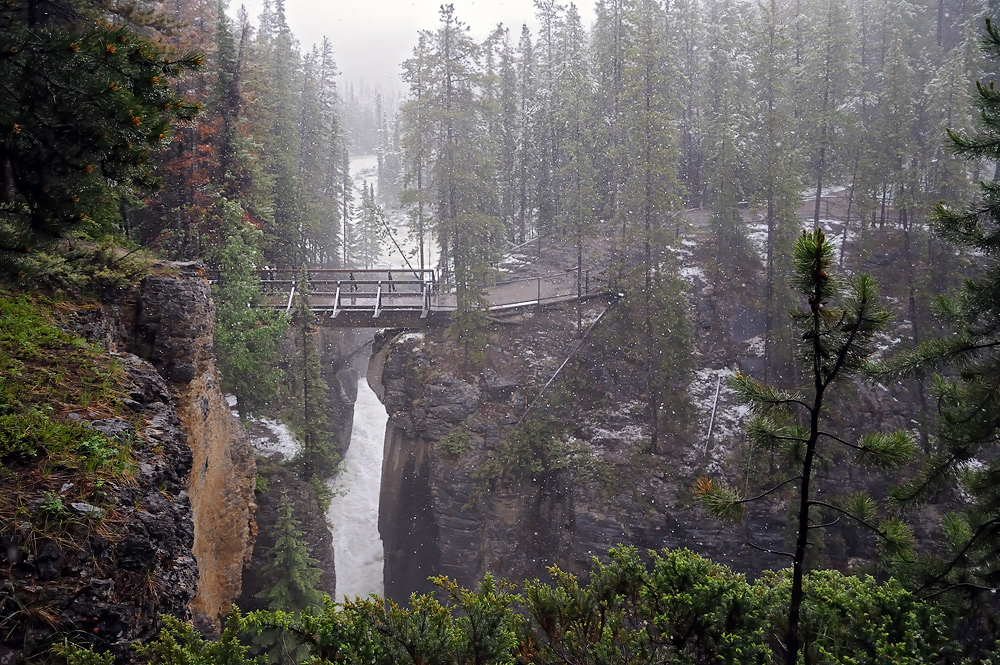 Bridge over troubled water