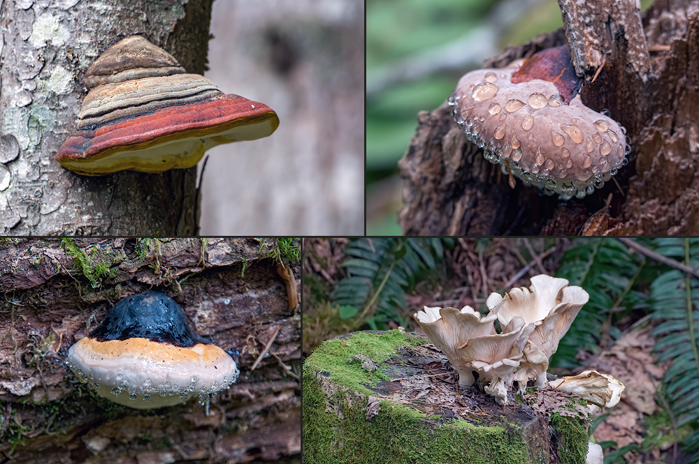 Der eine schwitzt, der andere nicht...