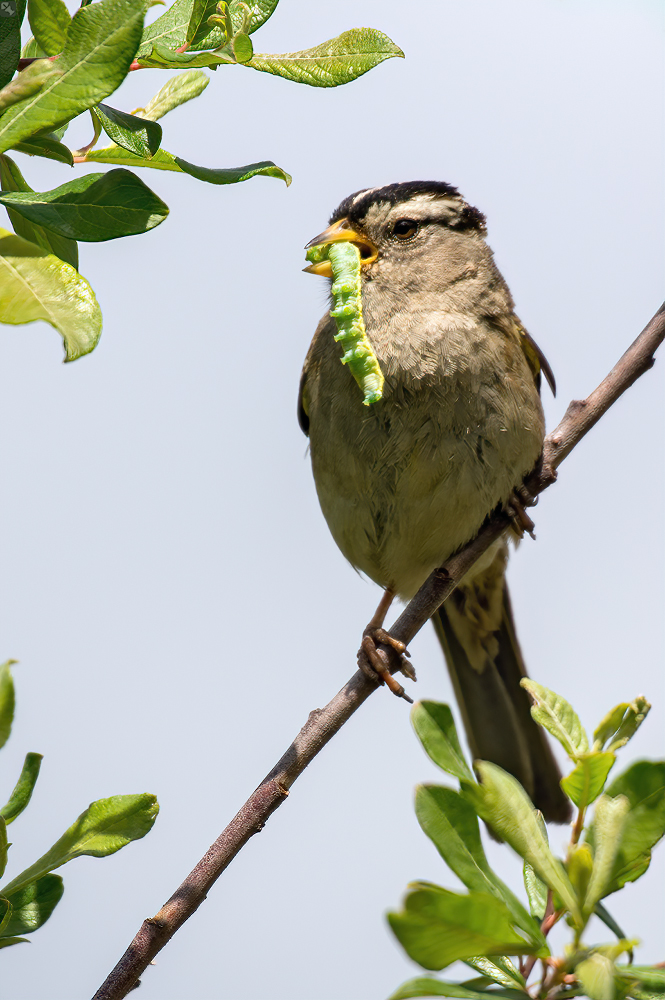 Der Nachwuchs wartet schon