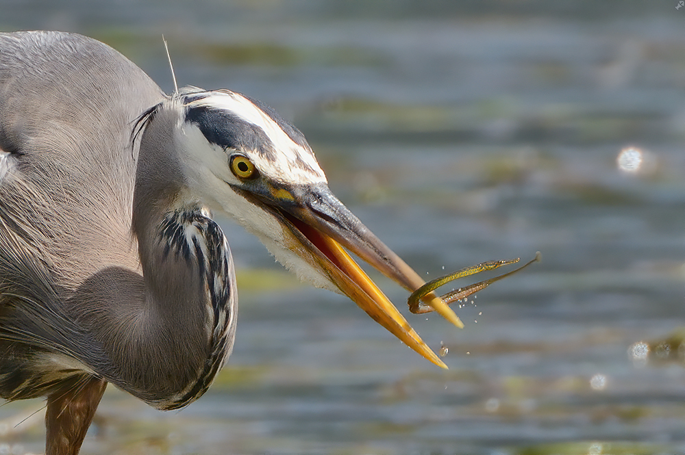Gnadenlos ausgeliefert