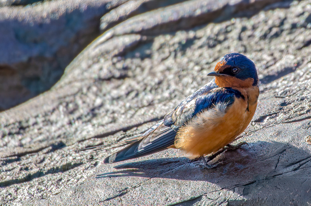 Gut erholt am nächsten Morgen