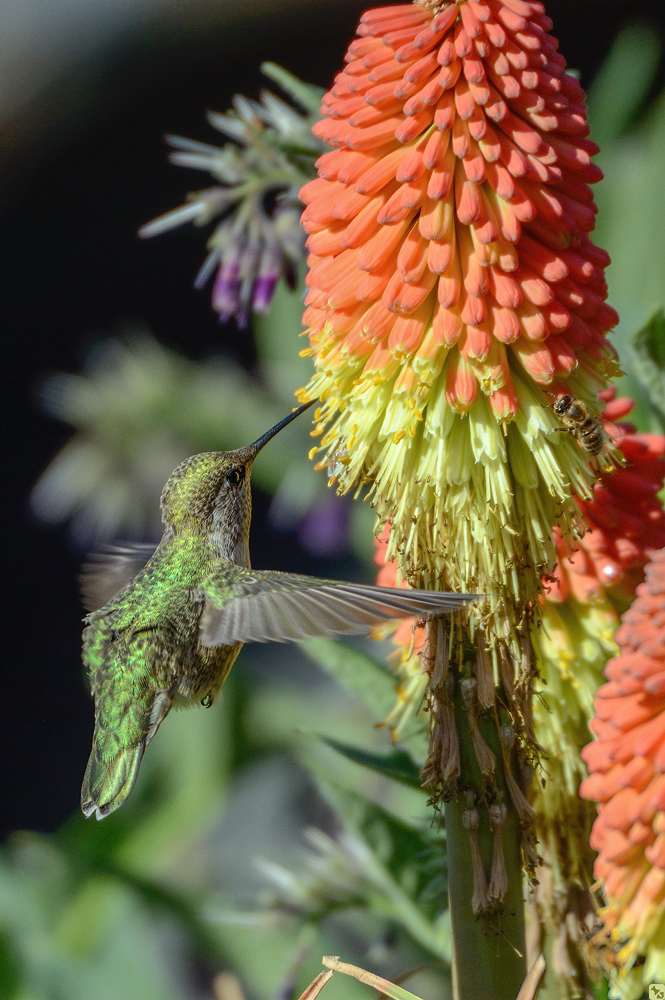 Tankstelle in 'Shell'-Farben