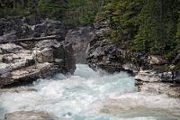 Ahnung eines Canyons  Statt zum Lake Louise biegen wir vom Icefields Parkway Richtung Kootenay NP ab. Maren möchte unbedingt den "Marble Canyon" sehen, zumal es jetzt endlich auch ein bißchen freundlicher wird. Leider müssen wir den Marble Canyon auch noch an unsere Versäumnisliste ranhängen, denn der Parkplatz am Canyonzugang ist wegen umfangreicher Straßenbauarbeiten bis Oktober 2019 höchst offiziell gesperrt. Immerhin haben wir die Gelegenheit, während wir in der Warteschlange vor der Ampel auf die Weiterfahrt warten, vom Straßenrand aus einen Blick auf den Kootenay River zu werfen, der an dieser Stelle zumindest eine Ahnung des Canyons ein paar hundert Meter weiter gestattet.