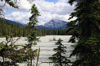 Ausweichplatz  Auch der staatliche "Wabasso Campground" ist trotz der frühen Jahreszeit voll und es bestätigt sich, dass die Schließung des riesigen Whistler CG in Jasper einiges in der Regionalkapazität an Unterkünften durcheinander gewürfelt hat. Ich habe gerade erst vor dem Abfertigungsfenster des Pförtnerhäuschens gestoppt, bin noch dabei, die Seitenscheibe herunterzufahren, als mich die uniformierte Rangerin auch schon anfährt, ich möge doch bitte den Motor abstellen, da sie nicht an Autoabgasen dahinzuscheiden gedenke. Uiuiui... richtig zum Stehen gekommen sein darf ich aber schon noch?? Im weiteren Verlauf entpuppt sie sich aber als ziemlich handy und wir werden nach der Präsentation unserer Reservierung mit einer genauen Wegbeschreibung zu unserem Stellplatz durchgewunken. Der Platz ist mit weit voneinander liegenden Stellplätzen großzügig aufgeteilt und wir haben das Glück, genau vis-á-vis eines luxuriösen Waschhauses mit Wasserspülungstoiletten nächtigen zu dürfen.