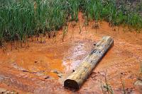 Eisenschlamm  Seit ewigen Zeiten schon nutzten die First Nations das leicht zugängliche Gebiet zum Abbau des Ockerschlamms, um daraus Farbpigmente herzustellen, die bei kulturellen und rituellen Zeremonien Verwendung fanden, der Körperbemalung dienten und der Anfertigung von Felsmalereien. Den First Nations ist dieser Platz heilig – was europäische Siedler nicht daran hinderte, ebenfalls Ocker abzubauen und damit lange Handel zu treiben.  Liest man die Schilderungen auf einschlägigen Reiseportalen, können sensiblere Naturen dem 'schmutzigen', 'schlammigen' Gebiet häufig wenig abgewinnen, besonders, wenn das Hadern über versautes Schuhwerk den Gesamteindruck bestimmt. Wir hingegen waren von dem ca. 2 km langen Rundweg beeindruckt, auch in Hinblick auf den kulturellen Kontext und hatten unsere Schuhe bereits wenig später mit Hilfe von ein wenig Frischwasser wieder von den schlimmsten Spuren befreit.