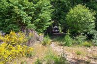 Exklusiver Zugang  Der nächste Morgen ist wieder sonnig und bevor wir weiter ins Inselinnere fahren, erkunden wir noch den campingplatzeigenen "Beaver Pond Trail". Nach einer guten Stunde durch lichten Wald, entlang an stillen, mit Pompeseln und Seerosen bewachsenen Tümpeln, haben wir zwar keine Biber zu Gesicht gekriegt, aber einen schönen Spaziergang gemacht.  Wenig später fahren wir auf dem fast menschenleeren Gold River Highway Richtung Buttle Lake, dessen zauberhafter Uferlinie wir über 40 km folgen, bis wir auf den staatlichen "Ralph River Campground" einbiegen, auf dem wir einen Platz reserviert haben. An dem Schaukasten beim Eingang vergewissern wir uns, dass neben 'Platz 41' auch wirklich unser Name steht und sind restlos begeistert, nachdem wir rückwärts in unsere Stellplatzbucht rangiert haben. Direkt hinter unserer Hecktür verläuft ein Pfad durch Ginster- und Margeritenwiesen bis hinunter zum See.