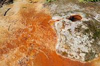 Frischwasservulkan  Bereits 1947 starb John Ray und seine Familie gab die Farm wieder auf. Zu einsam war es damals in der Gegend, in die noch keine Straße führte und das Leben war hart und entbehrungsreich. Heute zeugen nur noch ein verfallenes Blockhaus, Reste von Wirtschaftsgebäuden und eine Grabstelle für John und seine Frau von der fünfköpfigen Pionierfamilie. In den eingezäunten Überbleibseln nisten heute Schwalben und Fledermäuse und das Gelände wird regelmäßig von der Parkverwaltung von Baumschößlingen befreit, um die biologische Vielfalt zu schützen.