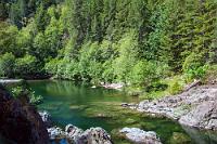 Grün umrahmt  Ein bißchen hilflos irren wir auf den kurzen Wanderwegen zwischen Parkplatz und Flußlauf hin und her. Die Wege sind wirklich schön und unser erster Kontakt mit der kanadischen Natur ist von strahlendem Sonnenschein gekrönt... aber – wo sind die Potholes? Sind es die von saftigem Grün umrahmten malerischen Tümpel, in denen der Fluß mehr steht als fließt? Wie auch immer, wir genießen die Ruhe, den urwaldigen Bewuchs und exotische Frühlingsblüten, die uns zu hingehockten Fotos animieren.