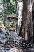 Holzkopf  Wir halten an dem "Broken Bridge Trail" und folgen dem Weg über stellenweise steile Abschnitte, bis er nach mehreren hundert Metern an der zerbrochenen Brücke endet. Wir machen eine kleine Rast an dem Flüsschen, welches unter den Resten der Brücke hindurchplätschert und amüsierem uns über das Schnitzwerk, welches ein unbekannter Künstler oberhalb des Rastplatzes hinterlassen hat.