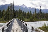 McLeod Meadows  Ich habe mir ein wenig die linke Wade gezerrt, was mich schon auf dem nur 2 km langen Pfad entlang der Paint Pots so gehandicapt hat, dass mich für heute keiner mehr zu größeren Aktivitäten bewegen kann. Während Maren zum Flussufer heruntergeht, dem Uferpfad bis zu einer Metallbrücke folgt und nach dem Queren des Flusses noch eine zweite Brücke über das von Inselchen durchsetzte Flussbett in Angriff nimmt, liege ich mit der Kamera auf der Lauer, um endlich den riesigen Helmspecht zu erwischen, der gelegentlich für ein kurzes Spechteln auftaucht, bei meiner unbeholfenen Annäherung aber immer sofort wieder verschwindet. So bleibt mir von meinem Shooting lediglich das Portrait einer hübschen kleinen Lincoln-Ammer und Maren tröstet mich mit ihren Fotos des vernebelten Bergpanoramas von der anderen Flusseite.