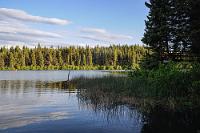 Moskitos inklusive  Über zwei Stunden waren wir auf dem See unterwegs gewesen und hatten das Boot – gerade rechtzeitig vor dem Losbrechen eines heftigen Gewitterschauers – wieder zurückgegeben. 20 $ ist uns dieser Spaß allemal wert gewesen. Nach dem Guss scheint die Abendsonne wieder, als sei nichts gewesen und uns treibt es nach dem Abendbrot noch ein Stück weit in den Schilfgürtel hinter unserem Stellplatz. Aber erst, nachdem wir uns mit einer gehörigen Portion "No Bite" gegen die jetzt massenhaft auftretenden Moskitos immunisiert haben. Während wir uns damit einsprühen lernen wir, dass der Gassensor des Campers durchaus zwischen dem Treibgas des Sonnenschutzsprays und dem des Mückenmittels zu unterscheiden weiß – bei "No Bite" heult er nicht los! ;-)