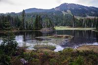 Mt. Washington  An schattigen Stellen zwischen den Bäumen halten sich noch hartnäckige Schneeplacken, die so verharscht sind, dass auch der fisselige Regen sie nicht aufzulösen vermag. Wir haben unsere Kameras unter mitgenommenen Einkaufsplastiktüten versteckt und holen sie nur für schnelle Schnappschüsse hervor, die Objektive mit der Hand gegen den windgetriebenen Regen abschirmend.