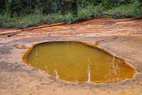 Paint Pots  Gleich mehrere kleine Quellen transportieren das durch Eisenverbindungen intensiv gefärbte kalte Wasser des Untergrundes an die Oberfläche, wo es sich in kleinen Tümpeln ablagert oder auch großflächig über die Landschaft verteilt und diese einfärbt. Wir folgen dem Weg entlang eines von verschiedenfarbigen Ablagerungen geprägten Abflusses einen kleinen Hügel hinauf bis zur Quelle. Faszinierend ist die unwirklich erscheinende Diskrepanz zwischen dem orangefarbenen Boden und dem quietschgrünen Uferbewuchs – eine Kombination, die man nicht häufig sieht. : Paint Pots