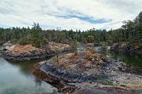 Umschlagplatz  Schließlich erreichen wir "Smuggler Cove", eine verwinkelte, mit vielen kleinen Inseln gesprenkelte Bucht mit nur engen Einfahrtspassagen, der man die heimlichen Aktivitäten früherer Zeiten förmlich ansieht. Zurück geht die Bezeichnung auf den ehedem für die Konföderierten im amerikanischen Bürgerkrieg kämpfenden Larry Kelly, der gegen Ende des Neunzehnten Jahrhunderts hier einen einträglichen Menschenschmuggel betrieb. Für jeweils 100 $ beförderte er nach dem Ende des kanadischen Eisenbahnbaus arbeitslos gewordene chinesische Arbeiter über den Seeweg nach den USA. Dazu soll er die migrationswilligen Chinesen recht brutal an ein großes Stück Gußeisen gefesselt haben, um sie bei drohender Entdeckung durch die amerikanische Küstenwache schnell und unauffällig über Bord befördern zu können. O tempora, o mores...