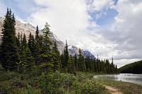 Unkontrolliert  Propangas haben wir übrigens bei der handbetriebenen Tankstelle nicht bekommen. Hätte sich ja angeboten, wenn ohnehin schon ein Tankwart draußen bei den Säulen ist. Die Säule ist aber – wie schon die neulich in Pemberton – kaputt. Scheint, als hätten sich Propangassäulen und Kartentelefone gegen uns verbündet... Egal – noch steht die Anzeige bei 46%, das reicht noch drei, vier Tage.  Wir stehen mittlerweile auf Site 22 des Rampart Creek CG. Unsere Nachreservierung hat offensichtlich geklappt, obwohl wir weder am heutigen Abend noch am nächsten Morgen einen Ranger zur Kontrolle vorbeikommen sehen. Wir imprägnieren uns mit "No Bite", benutzen den Pfad neben unserem Stellplatz und sind nach ein paar Metern durch den dichten Wald am Ufer des North Saskatchewan Rivers. Die Blüten des Uferbewuchses zeigt das vorige Bild.