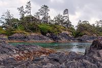 Vom Winde gekämmt  Wir sind fast allein an diesem Küstenabschnitt. Nur selten laufen außer uns andere Menschen über den Strand. Begegnet man sich, tauscht man einen Gruß und mitunter wird man auf eine Besonderheit hingewiesen, wie z.B. ein Seeadlernest hoch oben in einem der Strandbäume. Lange stehen wir wartend darunter, ob der kurz zuvor abgeflogene Weißkopfseeadler zu seinem im Nest sitzenden Partner zurückkehrt, werden aber enttäuscht...