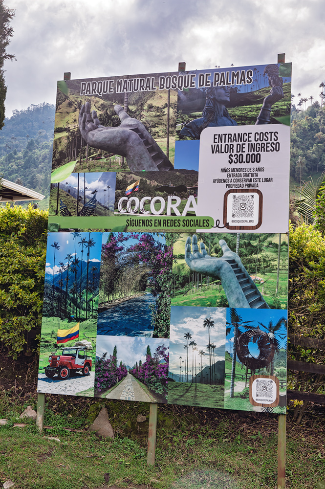 Valle de Cocora