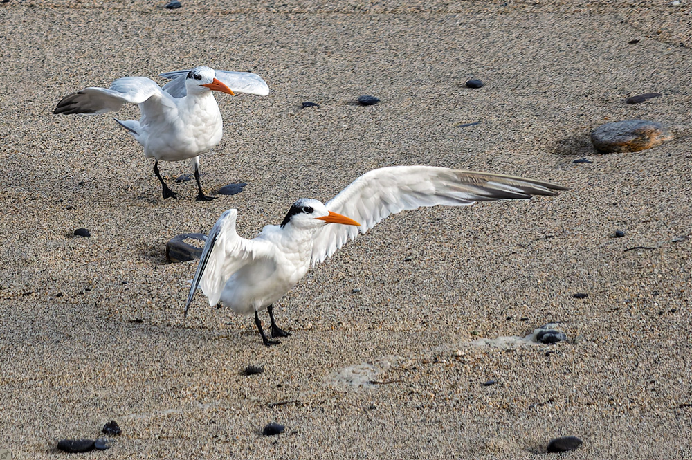 Zum Abflug bereit