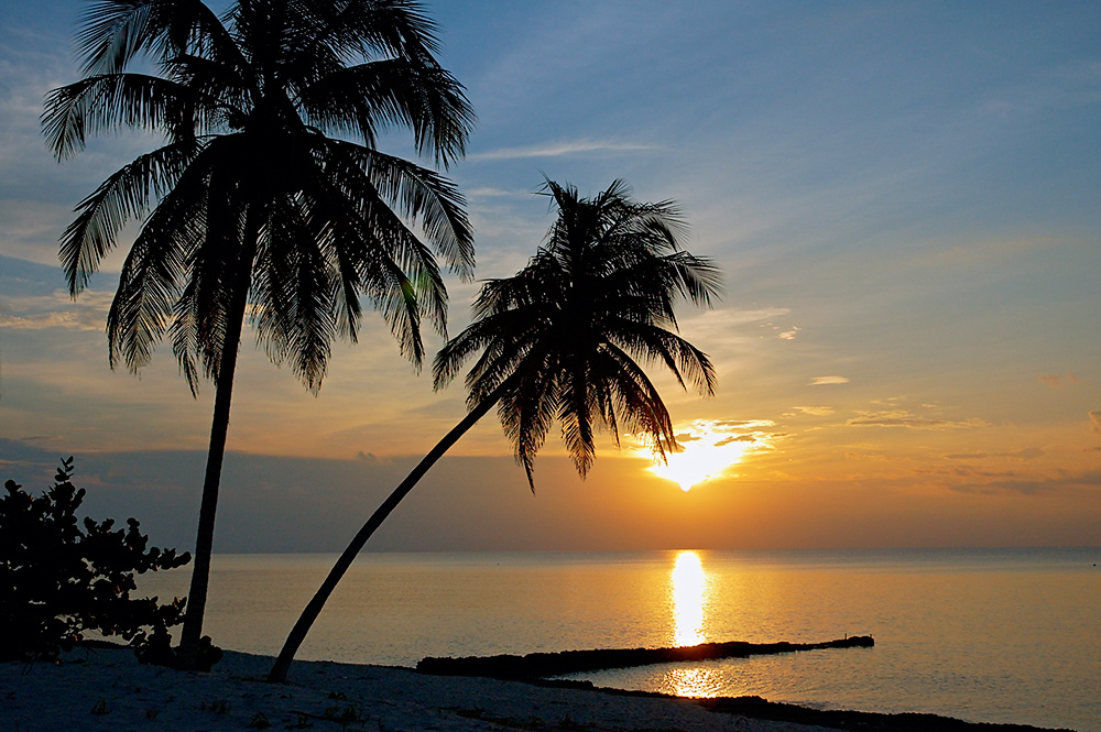 Manchmal braucht man's fürs Gemüt