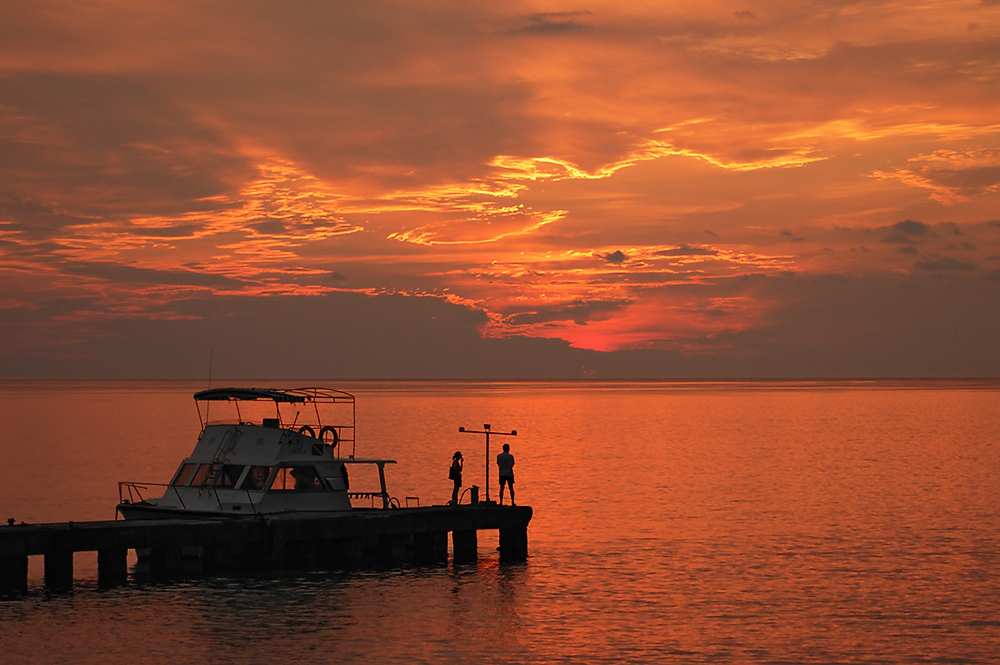 Na, machen wir noch 'nen Nachttauchgang...?