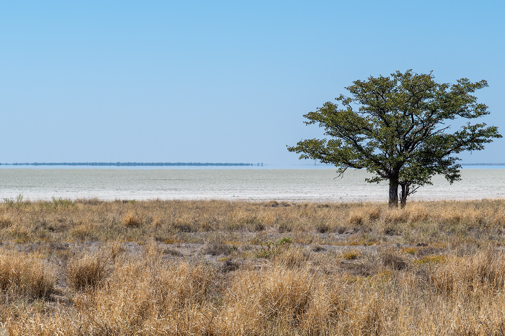 Auch 'ne Art von 'Minimal Art'