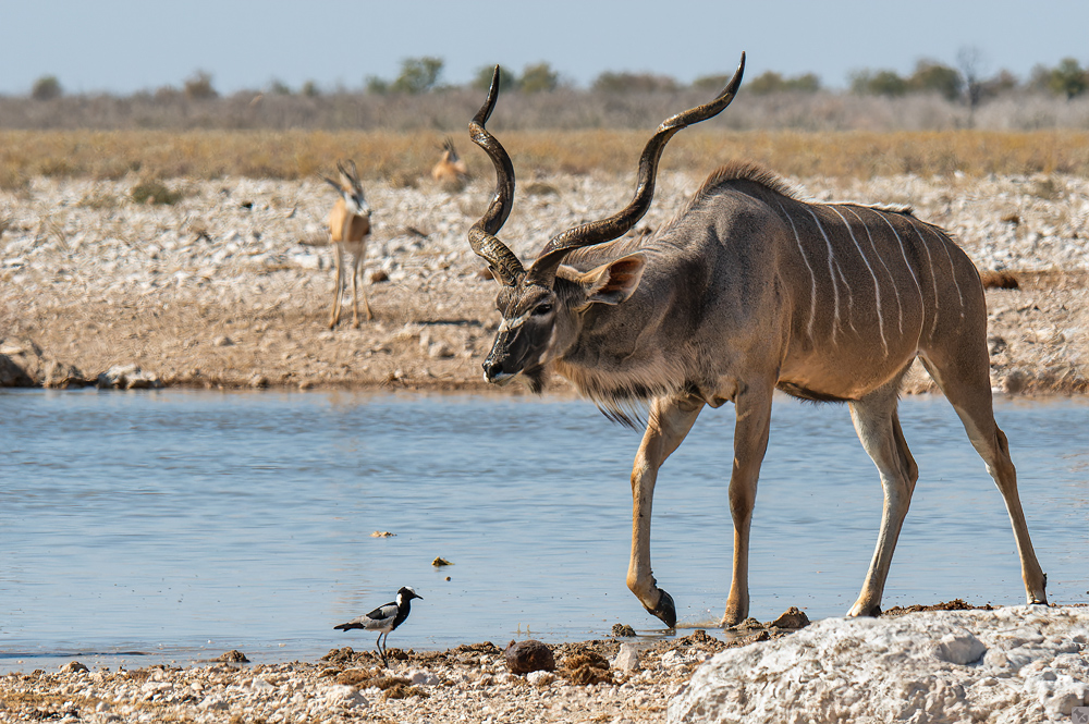 Auf dem Weg zum Sambesi