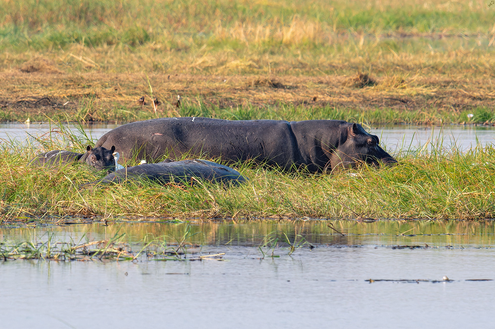 Bitte nicht stören!