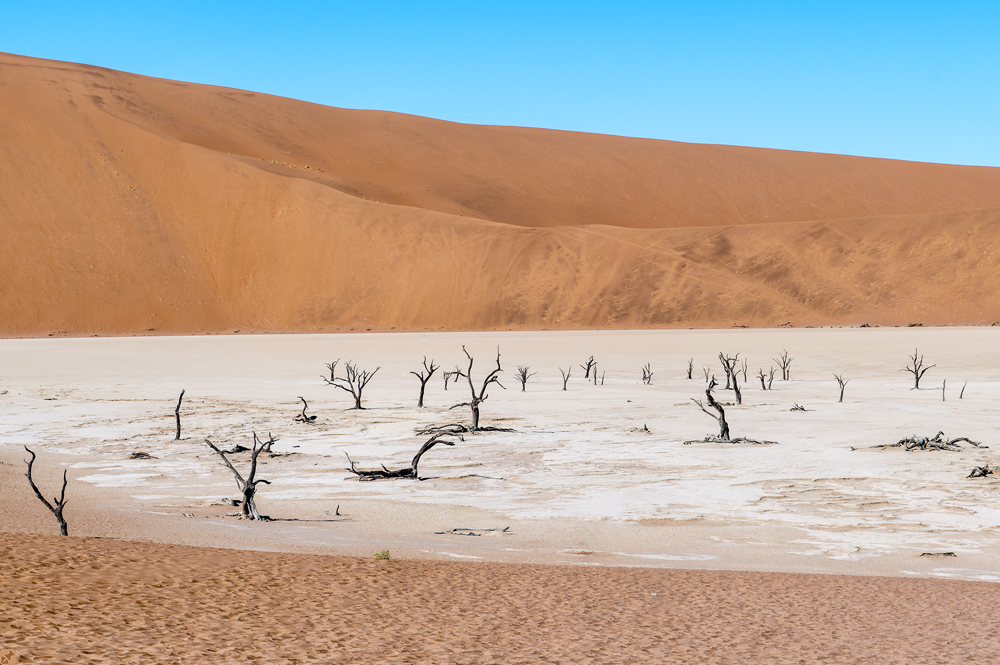 Dead Vlei