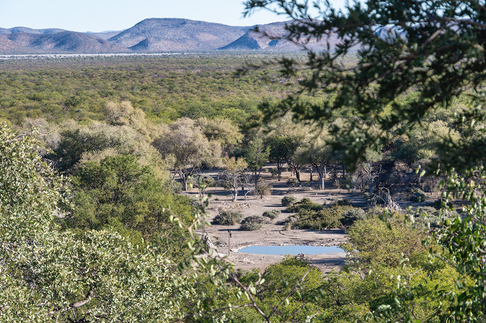 Diese Gäste kommen später