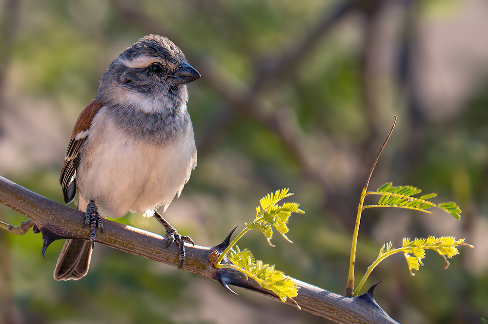 Frau Sperling chillt mit