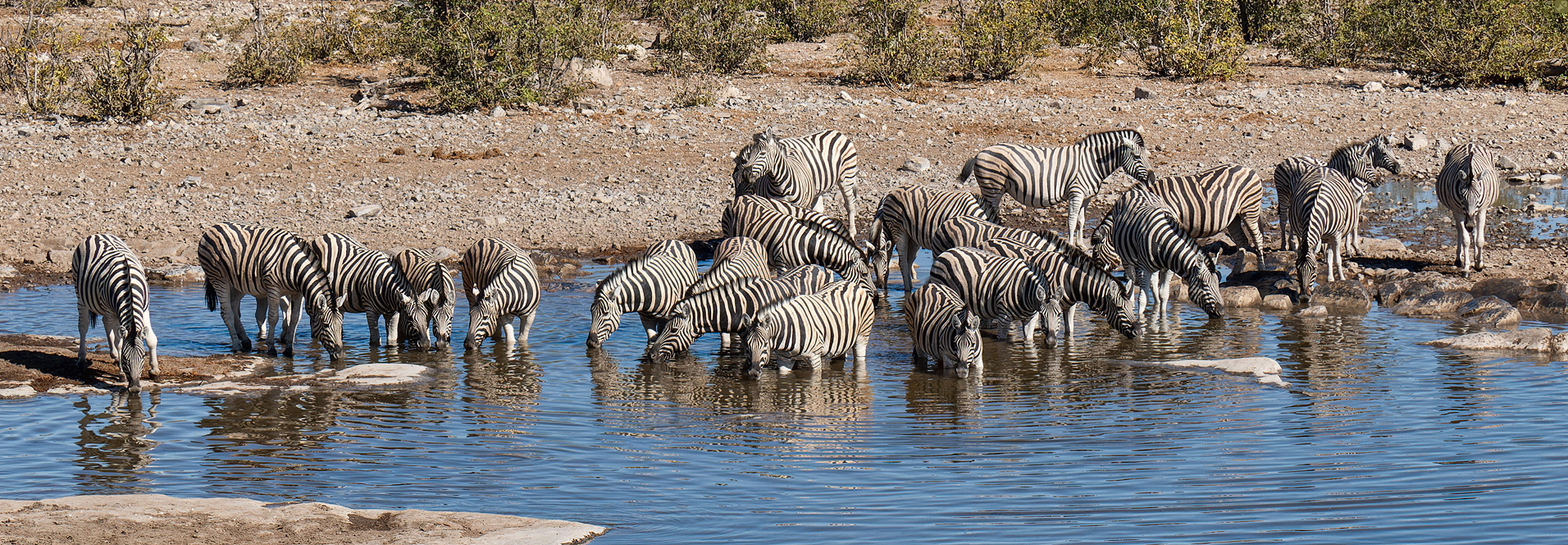 Lass' mich dein Badewasser schlürfen