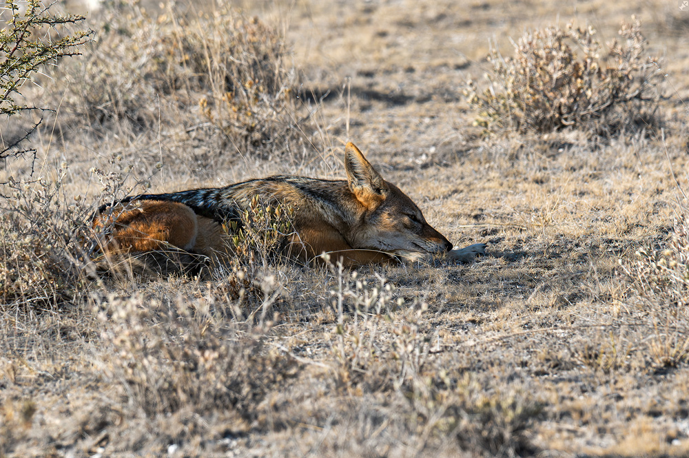 ...legt man sich am besten hin