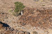 Aus der Spur geraten  Es wird zunehmend gebirgig und die Straße folgt Bergflanken, die mit bizarren und in allen Farben leuchtenden Felsformationen gekrönt sind. Man tut gut daran, sich nicht allzu sehr vom Fahren ablenken zu lassen, denn der staubtrockene Sandbelag der Piste ist rutschig und nicht selten geht es gleich neben der Spur tief hinab in trockene Flußläufe und Senken. Dass dies nicht immer folgenlos bleibt, davon erzählen die horrende namibische Unfallstatistik und späte Zeugen solcher Ereignisse.