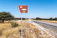 Nicht immer steht die Bank unterm Baum  Das Städtchen Grootfontein, eine früh wieder aufgegebene Burengründung von 1885, ist mit ihren ca. 16000 Einwohnern eine sympathisch wirkende Ansiedlung, die inmitten der grünen Otaviberge nicht zuletzt aufgrund der relativ hohen Niederschlagswerte eine augenfreundliche Abwechslung zur Wüste darstellt.  Sollte uns der zunehmende heimische Irrsinn trotz fortgeschrittenen Alters noch eine Auswanderung aufzwingen, wäre hier eine potentielle Bleibe denkbar. Heute machen wir uns aber erst einmal auf die lange Strecke nach Rundu.