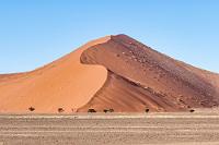 Dune 40  Eingerahmt von abwechslungsreicheren Berg- und Kieswüstengebieten des nördlichen und südlichen Teils des Namib Naukluft Parks, erheben sich hier im Zentralgebiet bis zu 385 m hohe, unwirklich rote Sanddünen, zwischen denen außer einigen Kameldornbäumen nur karge Grasbüschel gedeihen.  Beginnend mit der ersten Düne werden die Sandberge entlang der Straße aufsteigend nummeriert. Dabei haben einige Dünen aufgrund ihrer markanten Form eine gewisse Bekanntheit erlangt.