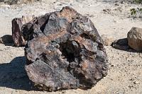 Einblick  Umgeben von Welwitschien beiderlei Geschlechts, liegen freierodierte Baumstämme von bis zu 45 m Länge auf dem Wüstenboden, aufgesplittert in meterlange Segmente, an denen Aststrukturen, Astlöcher und Jahresringe lebensecht erkennbar sind, allerdings von durchgängig kristalliner Beschaffenheit.