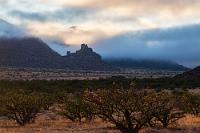 Frostig  Hatte man uns zu Hause noch erzählt, die vom Camp angebotene Safari zu den Wüstenelefanten wäre nur bei zweifacher Übernachtung buchbar, stellt sich vor Ort heraus, dass man die halbtägige Safari durchaus auch noch vor der Weiterfahrt am gleichen Tag antreten könne.  Das haben wir uns nicht zweimal sagen lassen, buchen die Safari vor dem Abendessen und werden noch beim Nachtisch vom Guide über die Modalitäten der Tour aufgeklärt.  Wir starten in dem magischen Licht des Morgens und sind bald dankbar für die zusätzlich bereitgestellten Ponchos, denn uns friert bei der schnellen Fahrt schon bald die Nase ab.