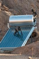 Maschinenbaustudium  Auch wir registrieren verblüfft, mit welcher Selbstverständlichkeit und offensichtlicher Expertise sich die Jungpaviane mit der Erforschung und Nutzbarmachung technischer Gerätschaften befassen. Würde man ihnen Werkzeug in die Hand drücken, wäre dieser Sonnenkollektor umgehend in seine Einzelteile zerlegt.    Chacma Baboon  (Papio ursinus ruacana)  Kalahari-Bärenpavian