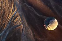 Meduse im Luftmeer  Fast sieht es so aus, als läge Schnee in den trockenen Flußläufen. Es sind aber genau die gleichen mineralischen Ablagerungen, die auch dem Dead Vlei sein grauweißes Aussehen verleihen. Kurzzeitig schwebt nun unser Ballon über dem Zweiten und im Licht- und Schattenspiel des Morgenlichts genießen wir fantastische Perspektiven.