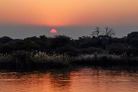 Nachts, wenn das Nilpferd kommt...  Dafür sind unsere Minen nach dem abendlichen Dinner im Lodgerestaurant erheblich befriedigter und nach einer abschließend von der gesamten Belegschaft vorgetragenen Tanz- und Gesangsdarbietung fallen wir müde in die bereits von elektrischen Decken beheizten Betten.  Um bald darauf aus dem Tiefschlaf hochzuschrecken! Ist es jetzt mit der noch eben gerühmten Sicherheit vorbei? Unmittelbar vor unserer Zeltveranda ein unheimliches Brüllen und Grunzen. Irgendetwas Schweres wälzt sich im Ufergras und stößt bedrohliche Laute aus. Kann es die Zeltbahnen beiseitewischen und uns aus den Betten puhlen?  Nachdem wir uns klargemacht haben, dass so ein Nilpferd wohl schwerlich die Treppe zur Veranda und dem Zelteingang erklimmen kann, ebbt der Tumult draußen langsam ab, die Nilis gehen zur Ruhe und auch wir sinken wieder in Morpheus' Arme.