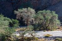 Ruhepunkt  Wie verweilen eine Zeitlang im Schatten der Schluchtwand an der Brücke. Obwohl die Örtlichkeit interessant ist und zu einer Rast einlädt, sind wir hier völlig allein. Kein Fahrzeug passiert während unseres Aufenthalts die Brücke. Wieder zeigt sich, dass wir offensichtlich in einer 'touristischen Lücke' unterwegs sind, denn normalerweise soll es auf der C14 von Verkehr Richtung Küste nur so wimmeln.